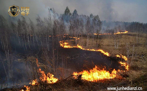钧和电子分享雷击是诱发森林火灾的重要原因