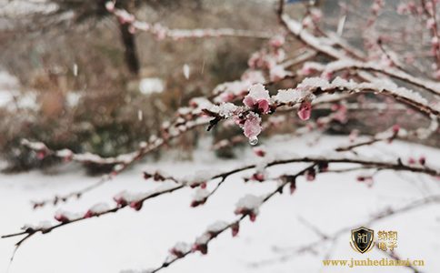 钧和电子分享大规模雨雪上线，部分地区有雷暴